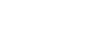 TOPPIK