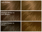 Coloration 377 SUN KISSED BROWN