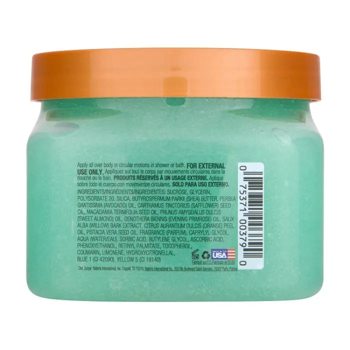 Gommage Corps au Sucre Aurora Nights 510g – TREE HUT