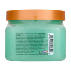 Gommage Corps au Sucre Aurora Nights 510g – TREE HUT