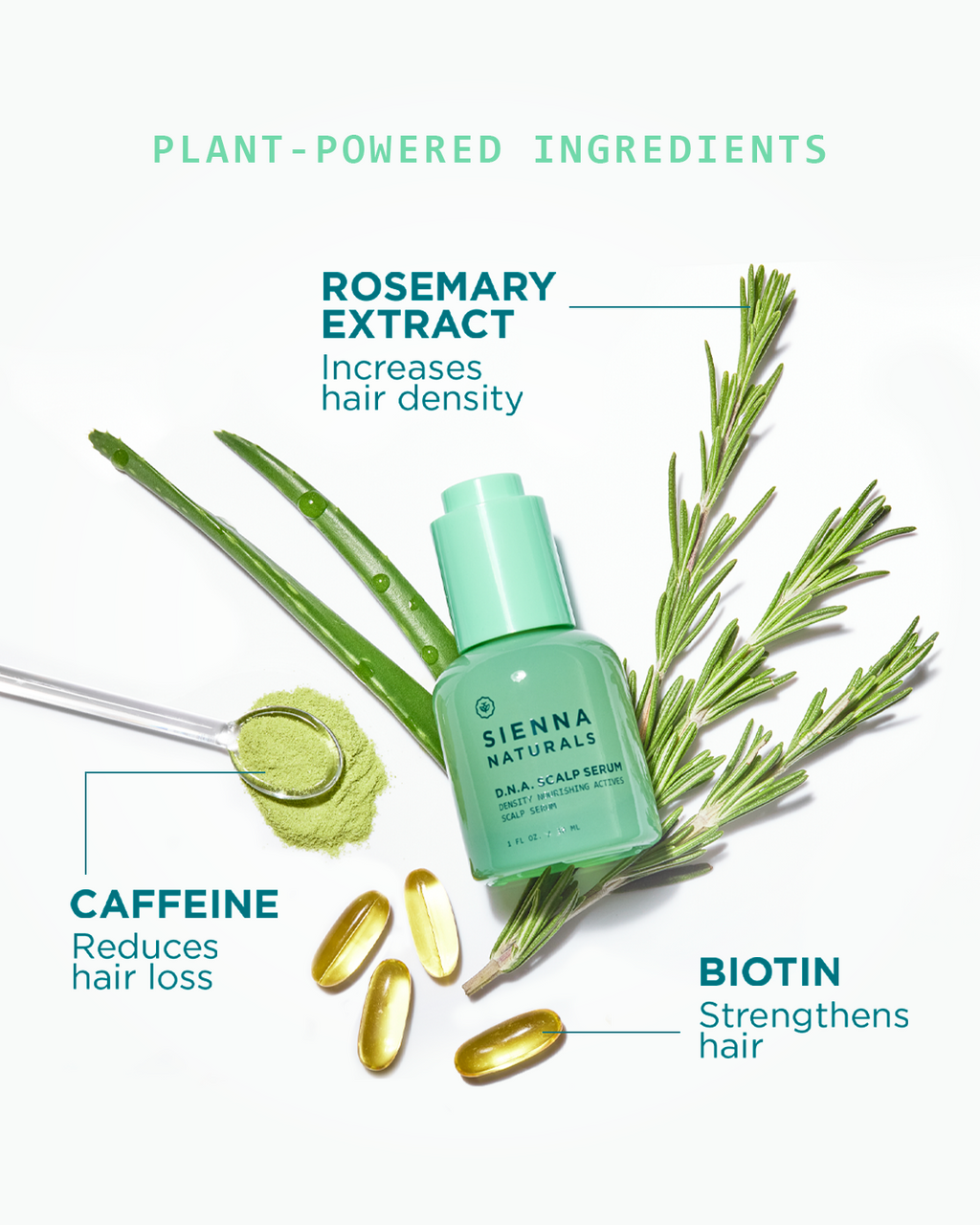 DNA Scalp Serum 30ml - SIENNA NATURALS