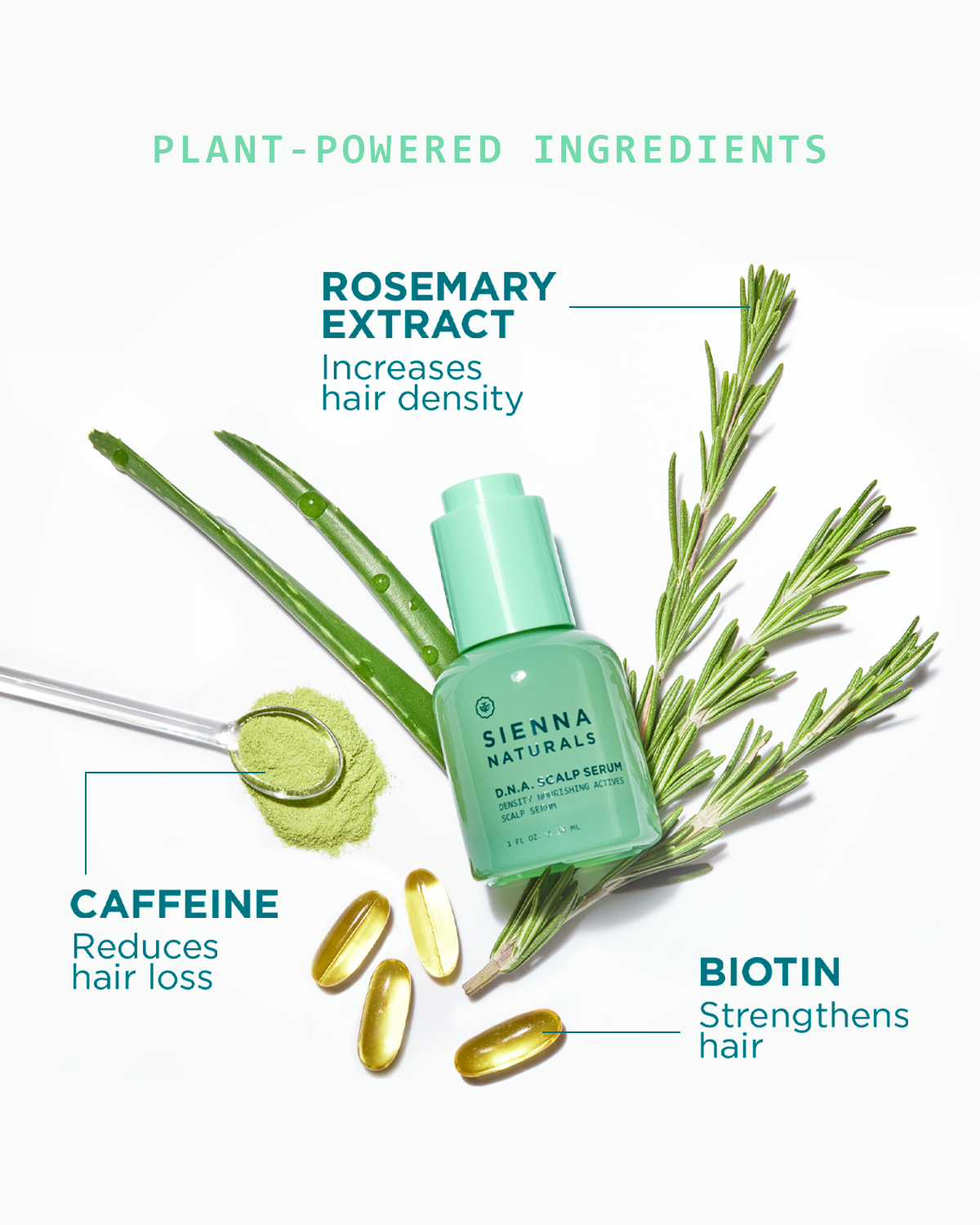 DNA Scalp Serum 30ml - SIENNA NATURALS