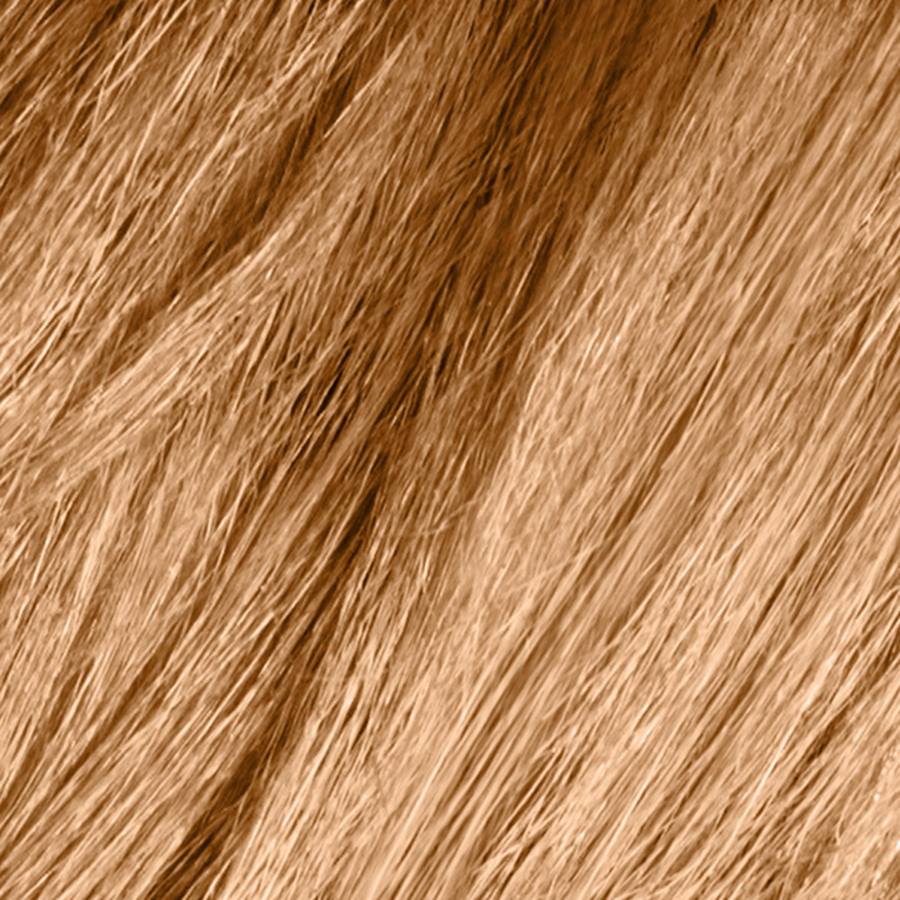 Coloration 378 HONEY BLONDE