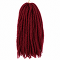 Afro Twist Braid Couleur BG - SOFT N SILKY