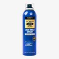Lace Melt Spray à la Keratine 180mL - EBIN