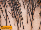 Avant Shampoing Co Wash au Thé Vert et Huile d'Olive 454g - As I Am