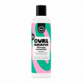Leave In Wonder Smoothie 250ml - CURL HIBISCUS