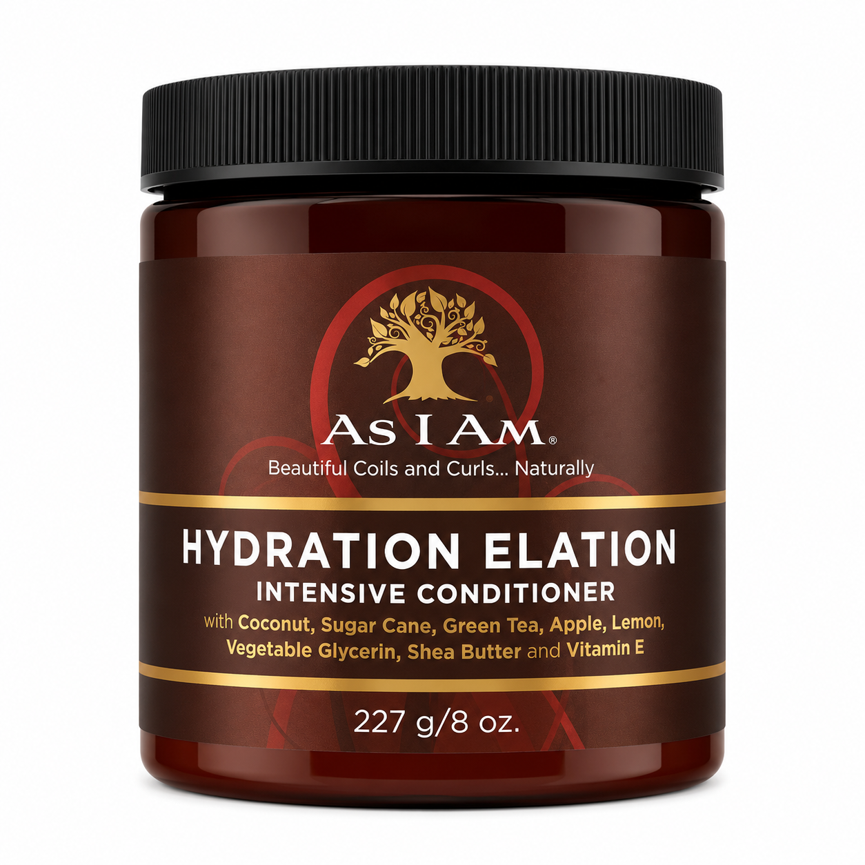 Masque Hydration Elation Intensive Conditioner 227g - AS I AM