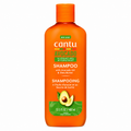 Shampoing hydratant à l'Avocat 400ml - CANTU