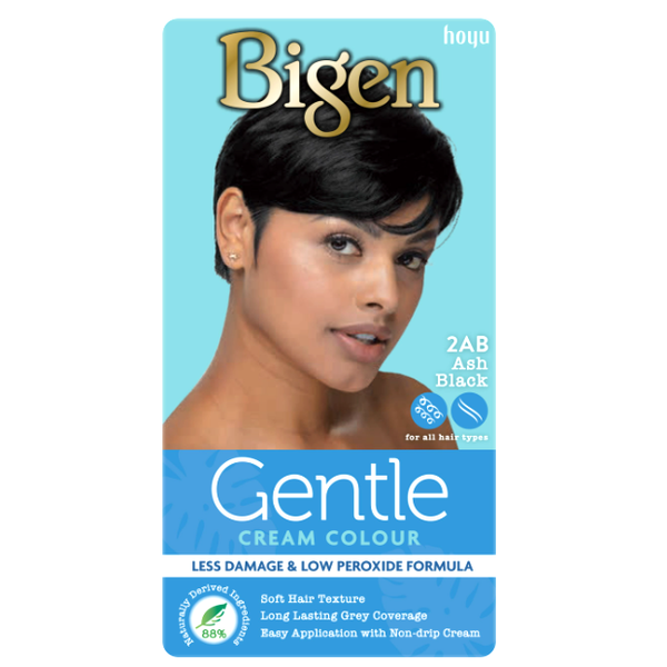 Coloration Ash Black 2AB - BIGEN