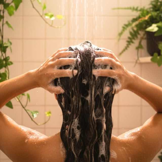 Shampoing Nourissant à l'Aloe Vera, Avocat et Jojoba 250ml - JIA PARIS