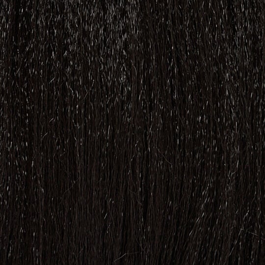 XPRESSION BRAID Couleur 1B