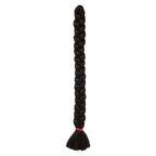 XPRESSION BRAID Couleur 2