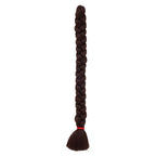 XPRESSION BRAID Couleur 33