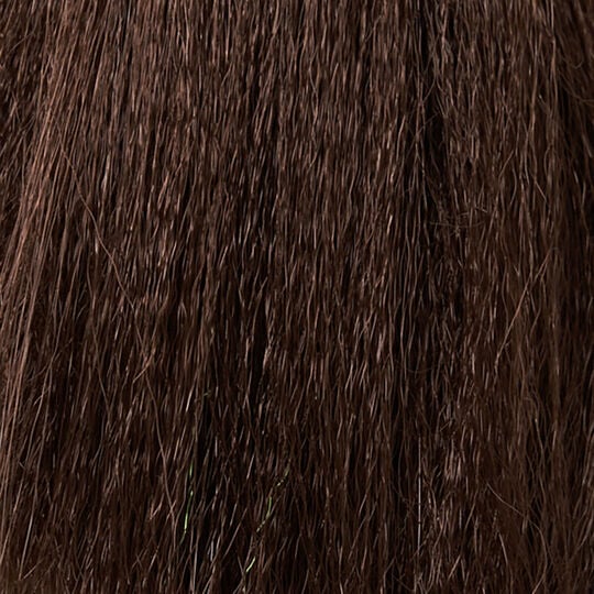 XPRESSION BRAID Couleur 6